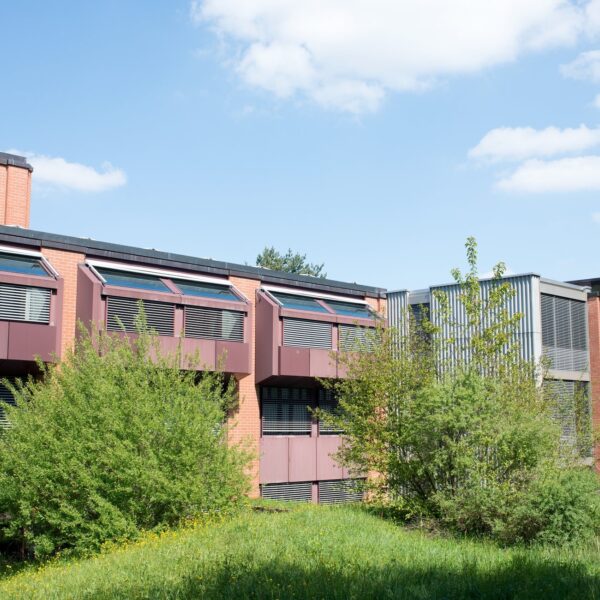 Csm DSC 9930 2cd496bc23