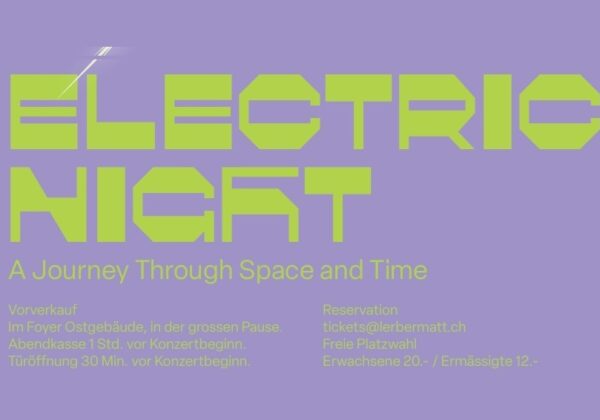 Electric Night Flyer klein 3