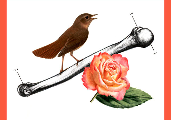 Visual Chorkonzert 2024