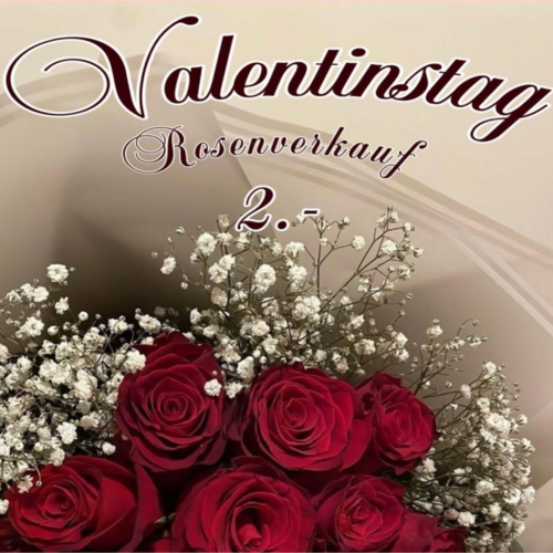 9 Rosenakton 14 02 2025