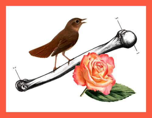 Visual Chorkonzert 2024